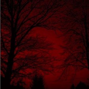 Meet your Posher, Kamryn